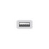 Apple adaptateur USB-C vers USB
